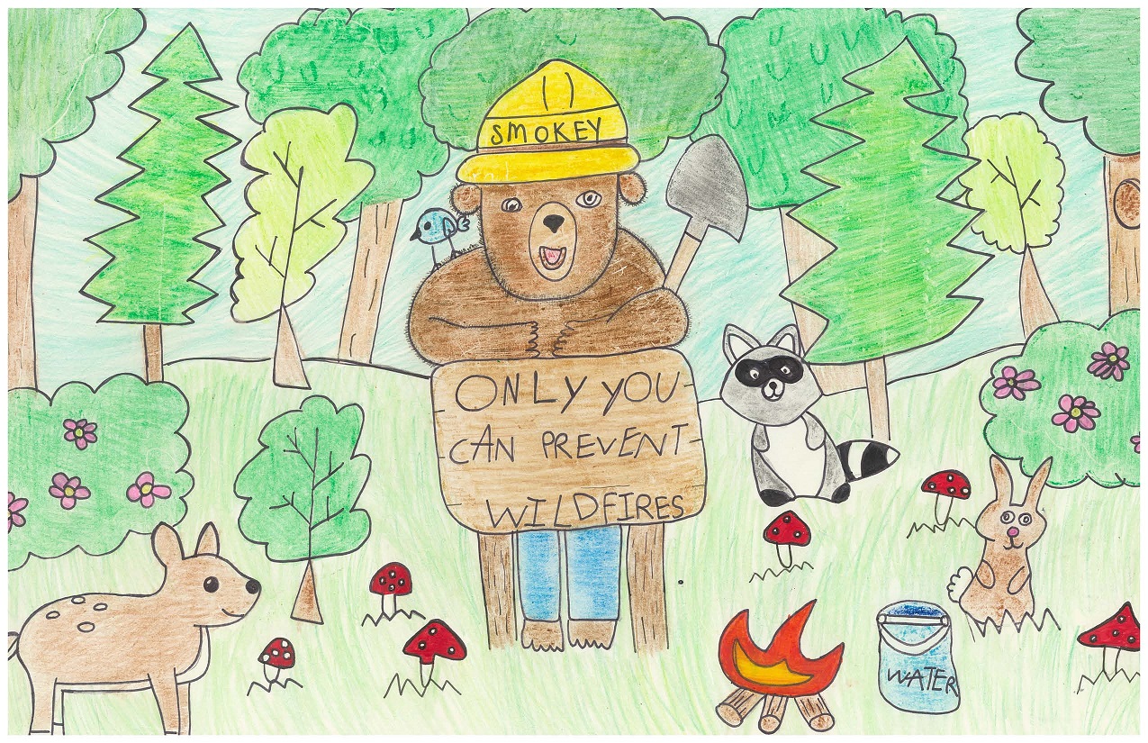 2024 Smokey Bear & Woodsy Owl Poster Contest National Garden Clubs, Inc.